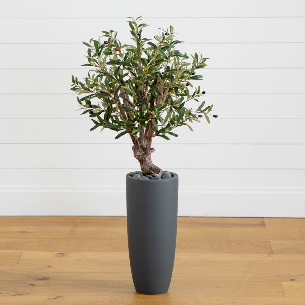 3.5’ Olive Tree in Gray Cylinder Planter on Sale